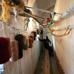 Oriental Hand Knotted Carpets and Rugs, weaving handmade rugs, persian rugs store, carpet website, a to z of rugs